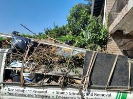 Best Appliance Removal  in Rincon Valley, AZ